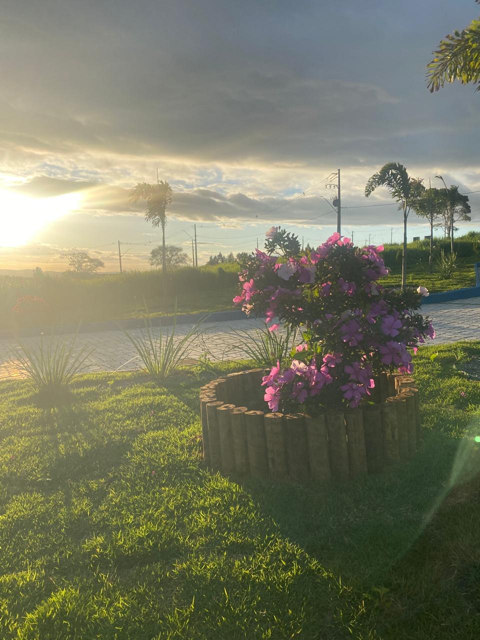 Imagem de Terreno à venda - Alto da Muritiba - Jaguaquara/Ba